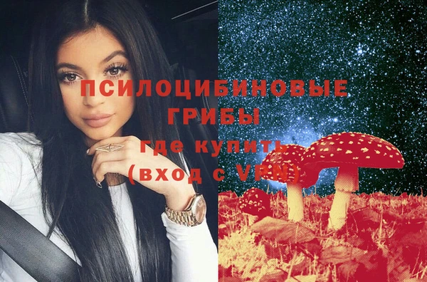 экстази Арсеньев