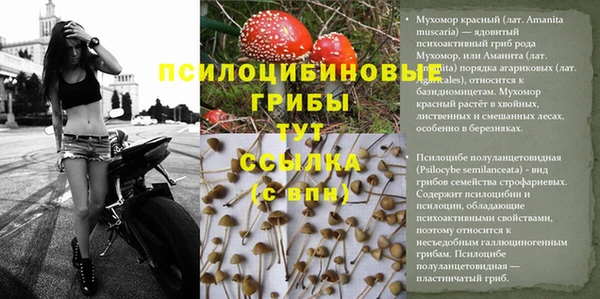 не бодяженный Армянск
