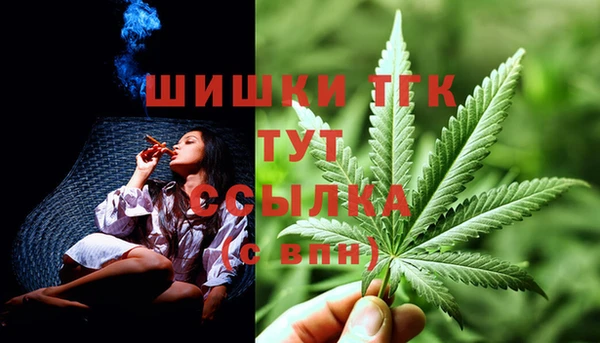 экстази Арсеньев