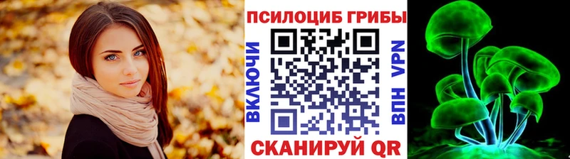 Псилоцибиновые грибы Cubensis  Ишим 