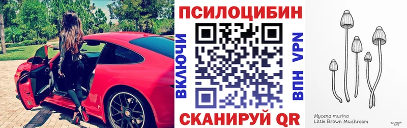 Псилоцибиновые грибы Cubensis Ишим